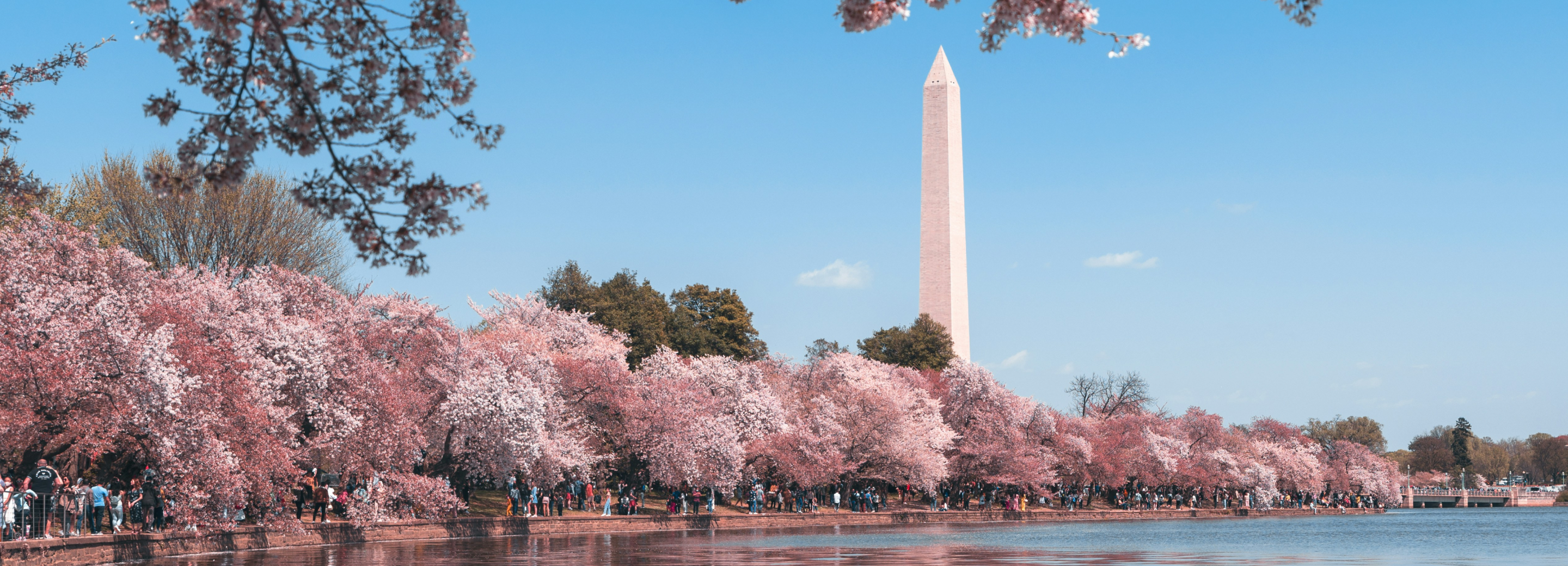 Running in Washington, DC