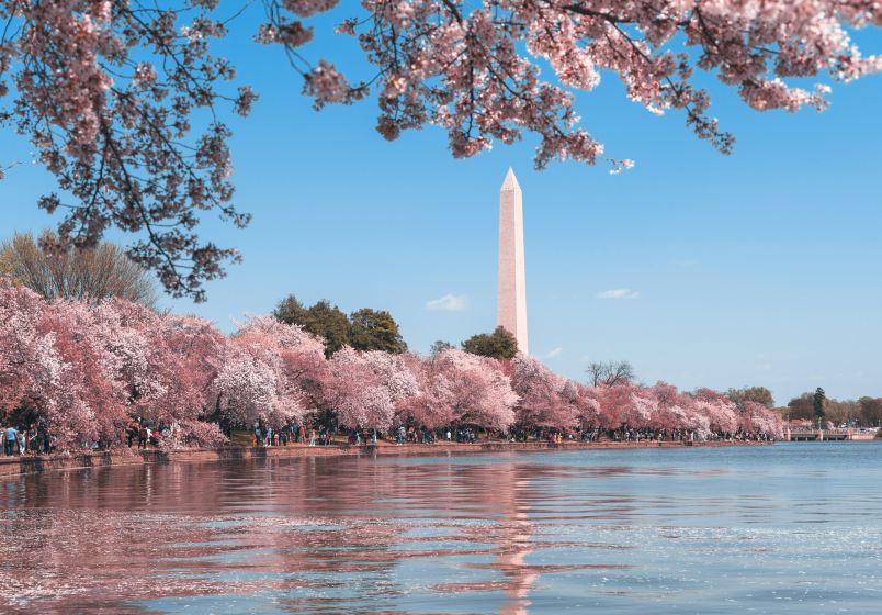 Running in Washington, DC